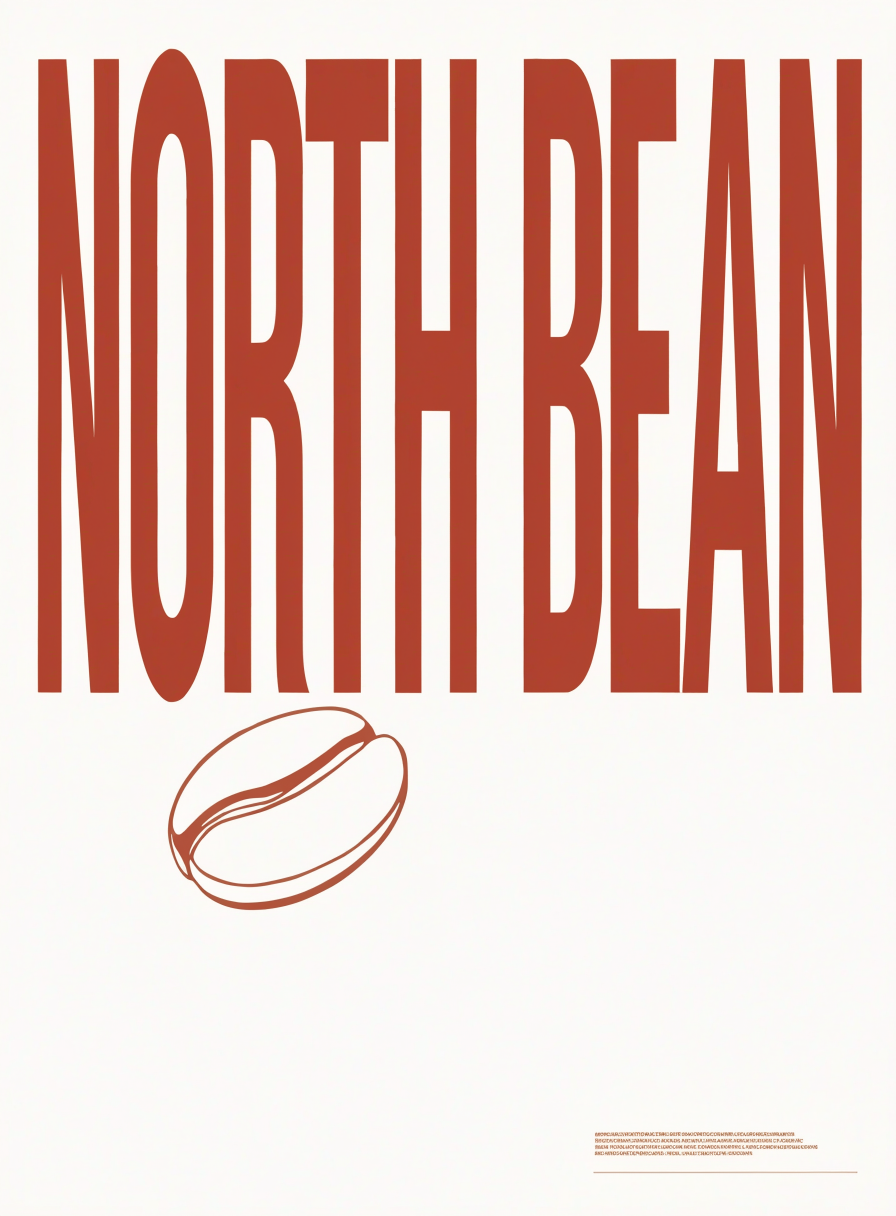 Flash NORTH BEAN
