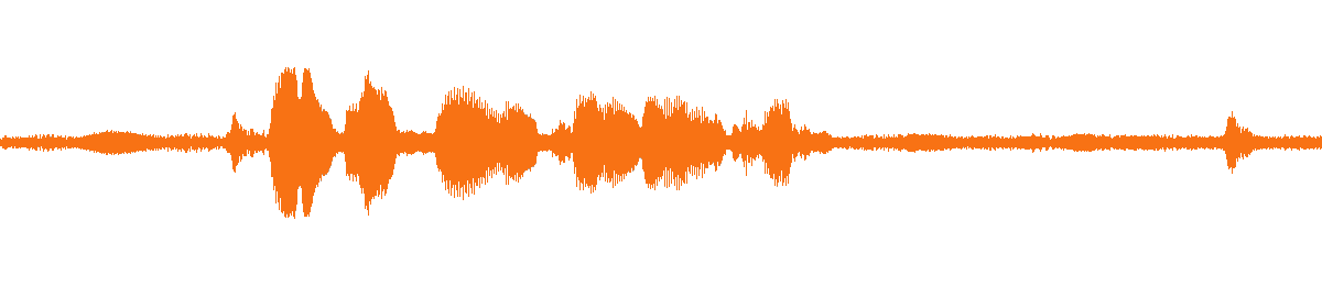 Waveform of the example output's audio (original sound kept)
